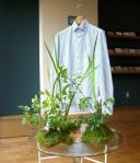 greenhtokyo_20110206214554.jpeg
